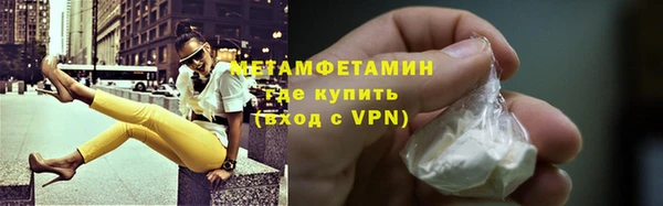 крисы Мегион