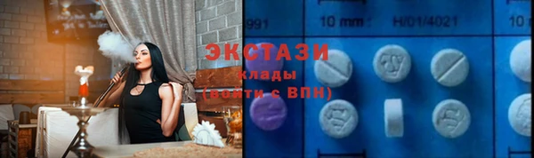 крисы Мегион